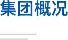 集团概况