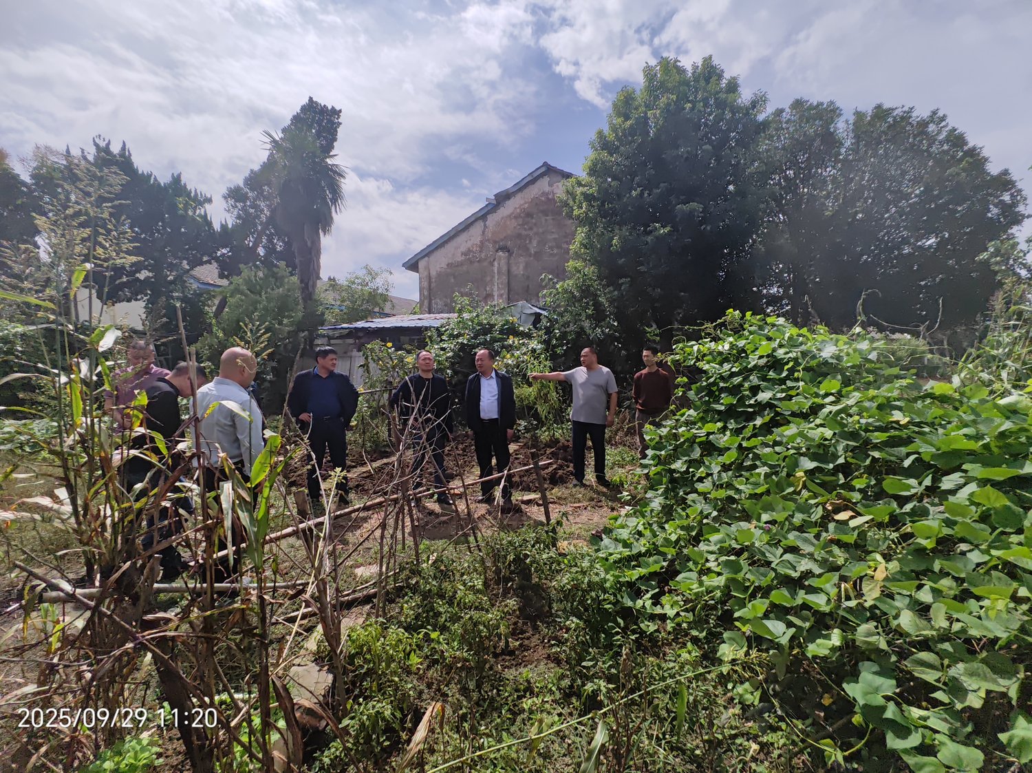 2025.9.29-1_2.jpeg 2025.9.29-1_2.jpeg